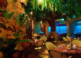 تقريري المصور عن مطعم الشرفه وصيد السمك وكلها ببلاش عالم حواء