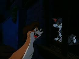 Rita And Runt Les Miseranimals Animaniacs Animaniacs Image Animation