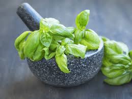 Check spelling or type a new query. Substitutes For Curry Leaf That Can Be Used In Case Of An Emergency Tastessence