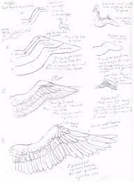 Wing Tutorial Wings Drawing Wings Art Angel Wings Drawing