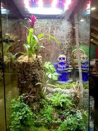 Pin On Terrariums