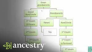 What Is A First Cousin Once Removed Ancestry