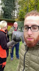 World's Fastest Animal: The Peregrine Falcon