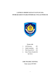Mahasiswa di stie oemathonis kupang jurusan/semester : Doc Laporan Observasi Dan Wawancara Pkwu Putri Isnayni Dewi Academia Edu