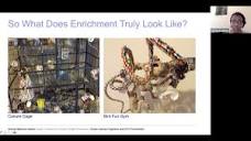 Enrichment for Exotic Pets - YouTube