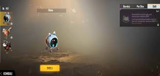 Free Fire Pets And How To Create An Impressive Free Fire Pet Name