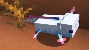 To kill an axolotl, you need to inflict 14 points of damage. Axolotl In Minecraft 1 17 Snapshot 20w51a Youtube