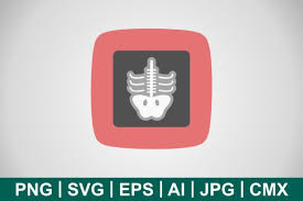 Download 7 Xray Icon Designs Graphics PSD Mockup Templates