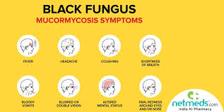 Though not much is known about white and yellow. Black White Yellow Fungus Know The Differences Risk Factors Of These Deadly Fungi