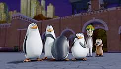 I knew they were racist, but i never knew they were gay. Best Madagascar Penguins Gifs Gfycat