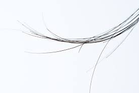 Each infected follicle is itchy or slightly painful, but the person otherwise does not feel sick. What Are Rogue Hairs And Should I Worry About Them