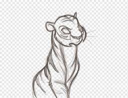 Whether your next art project requires farm animals, wild animals, pets, or mythical creatures, our easy drawing guides will help you to hone your skills. Visual Arts Drawing Cartoon Sketch Tiger Watercolor Painting Mammal Face Png Pngwing