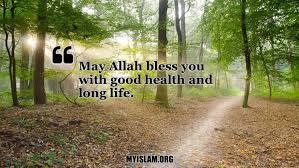 See more ideas about beautiful morning messages, good morning greetings, good morning images. 23 Beautiful May Allah Bless You Quotes 2020