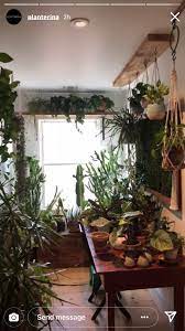 Shelf Above Window Living Room Plants House Plants Decor Window Shelf For Plants