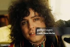 2,362 Glam Rock Seventies Stock Photos, High-Res Pictures, and Images