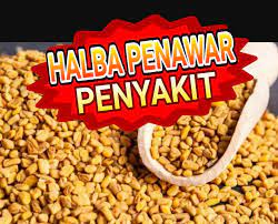 Tak hanya mampu menyedapkan rasa makanan, jenis rempah itu juga berguna untuk menyehatkan tubuh anda. Info Terengganu Darul Iman Tips Khasiat Halba Penawar Mujarab Turun Tenurun Yang Wajib Diamalkan