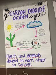 Carbon Dioxide Oxygen Cycle Anchor Chart Plant Life Cycle Plants Life Cycle Activities Science Anchor Charts