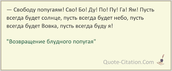 песня пусть всегда будет солнце пусть всегда будет небо Svobodu Popugayam Citata Iz Multfilma Vozvrashenie Bludnogo Popugaya