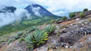 El Salvador Country Profile - National Geographic Kids | National  Geographic Kids