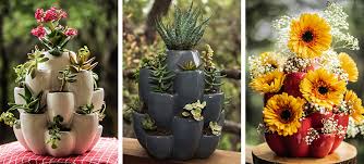 Cacti—except epiphytes—are best grown outdoors. Cacti Pot Ceramic Succulent Planter