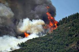 Marmaris son dakika haberleri ve marmaris haber ile ilgili video, anlık canlı gelişmeler en son haber'de. Wg1yk7xwfw L M
