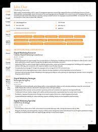 Interestingly, even your cv should have a particular cv format or layout. 8 Job Winning Cv Templates Curriculum Vitae For 2021