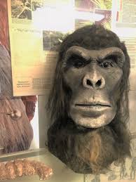 .снежный человек в области генетики. Searching For Bigfoot If The Elusive Creature Exists He S Probably Hiding Deep In The Santa Cruz Mountains Roadtrippers