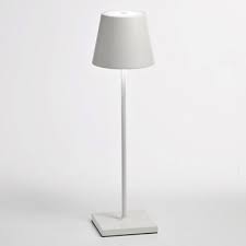 Led Novelty Accent Lamps