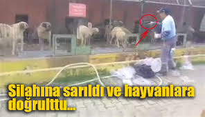 Idoha Dan Inegol Bakimevinde Hayvanlara Silah Dogrultan Sahis Ve Belediye Hakkinda Suc Duyurusu Haykonfed Hayvanlarin Yasam Haklari Konfederasyonu