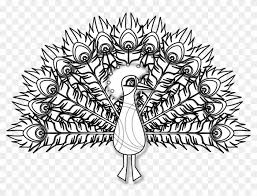We would like to show you a description here but the site won't allow us. Gambar Bulu Merak Sketsa Clipart 4641721 Pikpng