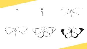 For the beginners also, drawing butterfly sketch is good for their practice. How To Draw A Butterfly 10 Easy Steps Jae Johns