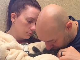 Fundraiser by Kalen Tolces : FIP Medical Bills for Sasha (Herman)