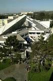 Image result for what upper division arts course should i take sfsu