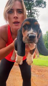 Basset Hound Puppy Johnny Cash