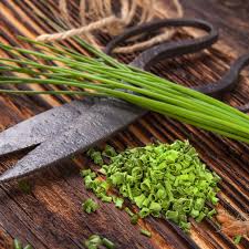 Conserver la viande fraîche demande une certaine technique. L Art De Hacher Ciseler Ou Piler Vos Aromates By Veritable