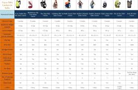 Top 10 Baby Carriers In India Gomama247