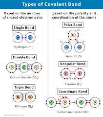 Atoms bond so that their outer shells are full of electrons and they become stable, like noble gases. Covalent Bond Definition Types And Examples
