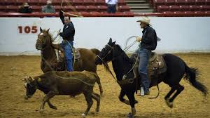 Your price for this item is $ 9.99. Things To Do In Dallas This Week January 11 Through January 17 Dallas Observer