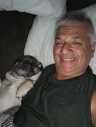 Gizmo said good night pug family