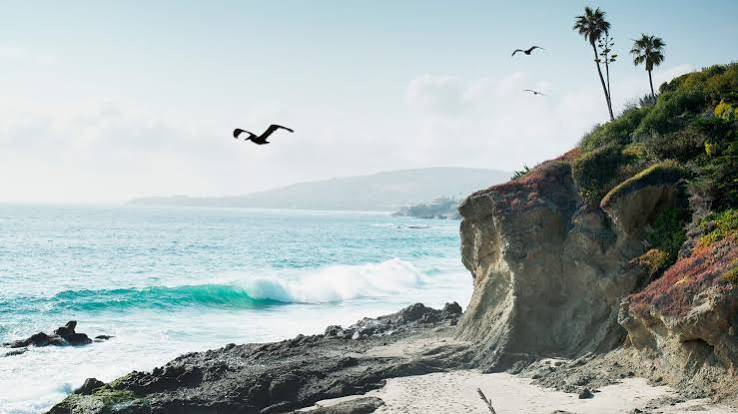 22 Best Beaches in Los Angeles, From Venice to White Point | Condé Nast  Traveler