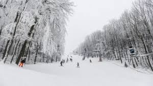 A kameraképen a legtöbbször hóágyúzott és üzemelő sípályát láthatjuk. Eplenyi Sipalya 24 Hu