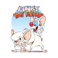 Pinky And The Brain Pinky And The Brain T Shirt Teepublic