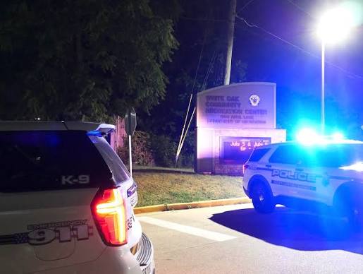 Seaford Police say a 15-year-old boy led them and Maryland State Police on a chase across the two states in a stolen car.