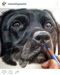 Today's tutorial will show you how to draw a dog. Pet Hair Info Canine Drawing Dog Drawing Animal Drawings