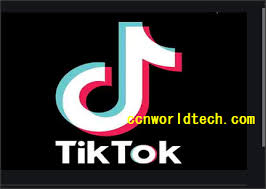 Bluestacks is a great option, which you can run on both windows and mac. Tiktok App Download Everything You Need To Know About Tiktok News Business Entertainment Reviews And Tech How Tos
