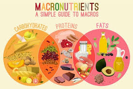 Macronutrients A Simple Guide To Macros Avita Health System In 2020 Macronutrients Carbohydrates Nutrition