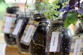 Check spelling or type a new query. How To Grow Herbs Indoors Using Mason Jars Hgtv