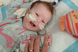 Crisp's Family Story