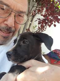 I saw these pictures a while ago in a Danish article, but I didn't post  them as I was busy planning my trip to Uruguay. However, the day before  yesterday I asked