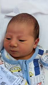 Mark Cipolla (@markcipolla)